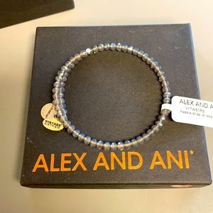 NWT Alex and Ani Pebble Wrap Bracelet
